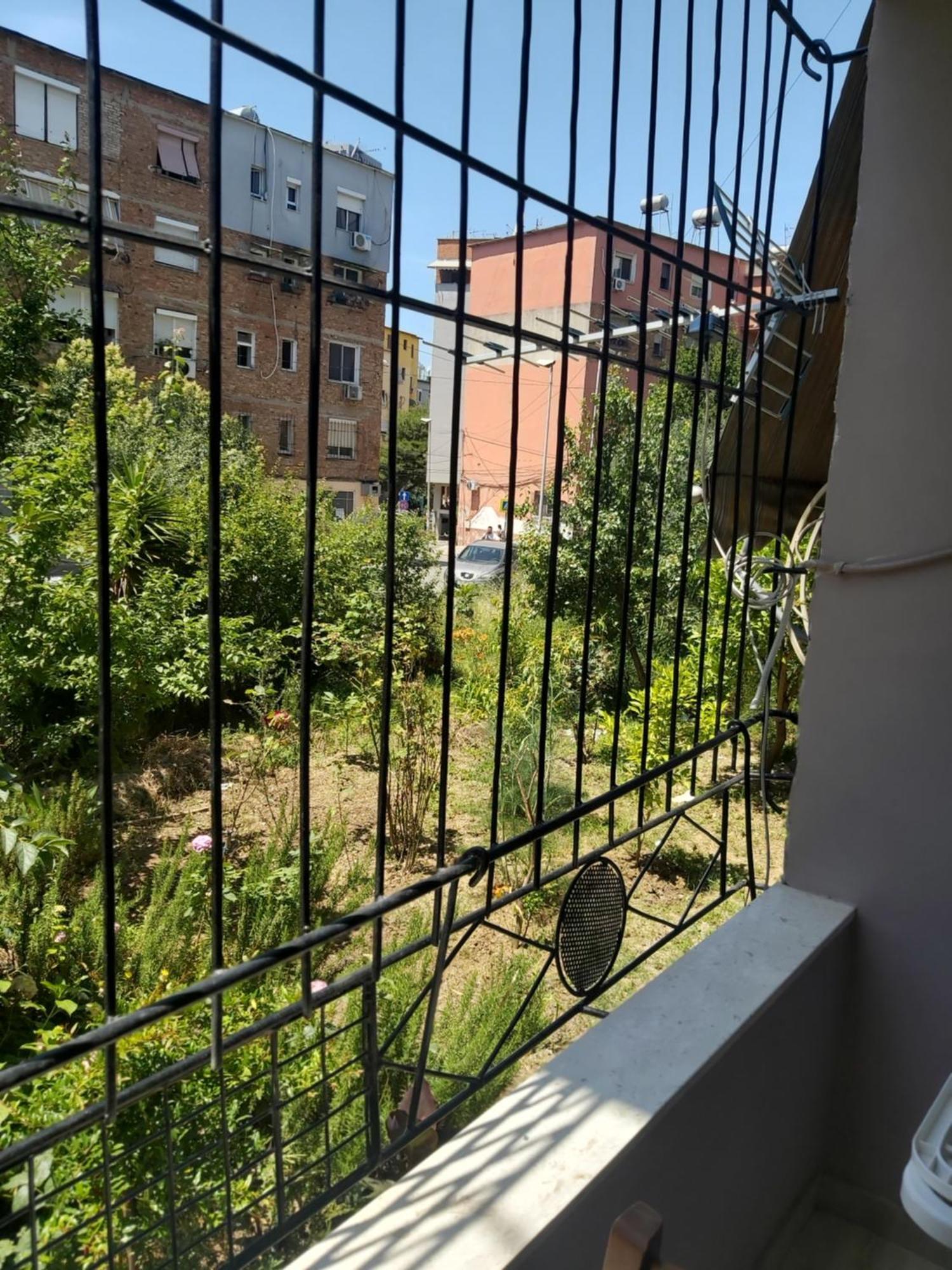 Gesapartment Tiranë Eksteriør bilde